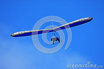 Hang Glider