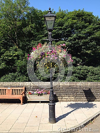 Hanging baskets on lamp post