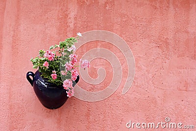 Hanging plant on terracotta painted wall