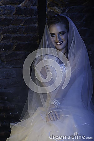 Happy bride with veil in wine cellar