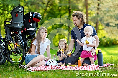 Happy family of four having a picnic