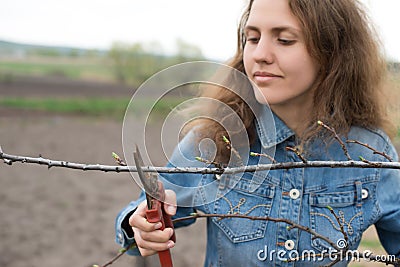 Happy gardener woman using pruning scissors in orchard garden. Pretty female worker portrait