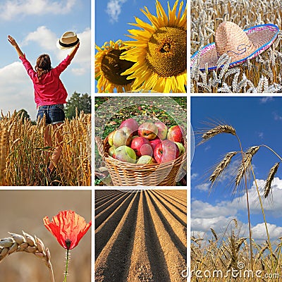 Happy harvest time, autumnal collage