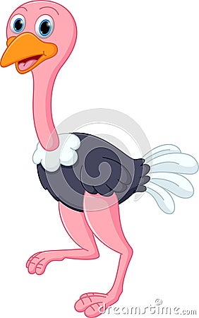 Happy Ostrich Cartoon Stock Vector - Image: 49048424