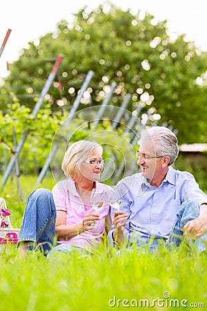 Happy seniors having picnic drinking wine