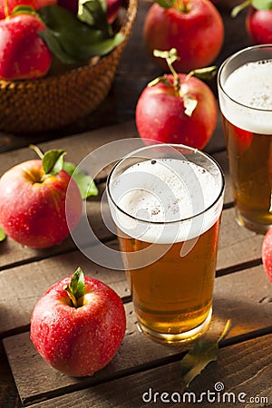 Hard Apple Cider Ale