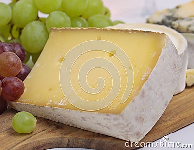 Hard cheese close up