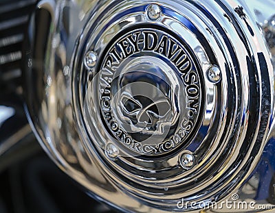 Harley Davidson skull logo Hardy Butts 2010