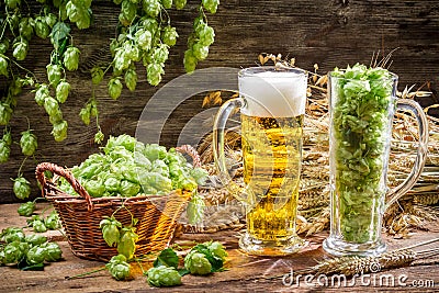 Harvest hops and wheat for fresh homemade beer