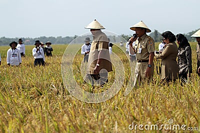 The harvest Rice Together President