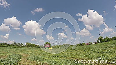 Tractors working in fields videos for cats