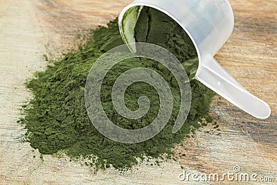 Spirulina powder scoop