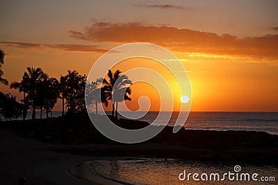 Hawaiian Sunset with Ocean and Palm Trees