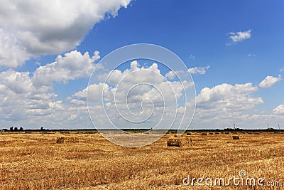 Hay field with blanks for farm animals