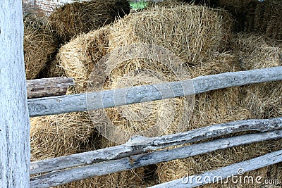 Hay in the old barn