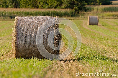 Hay roll on fields close up