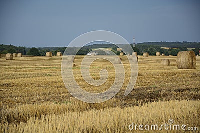 Haystacks in a field