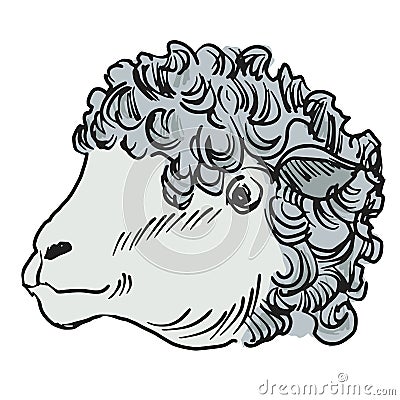 Head Of Sheep Stock Vector - Image: 39110981