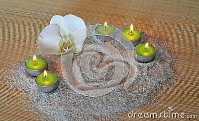Heart sand candle orchid