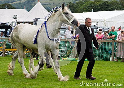 Heavy Horse Cartmel Show 2011