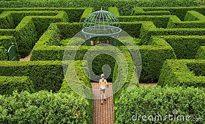 Hedge Maze A