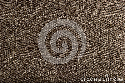 High Quality Animal Reptile Skin Patten and Textur