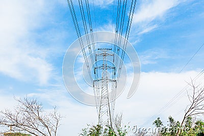 High voltage transmission tower in the wild