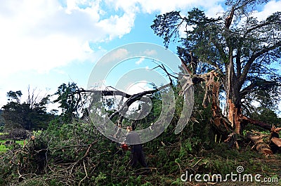 High Wind Storm Damage