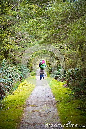 Hiker on lush jungle trail with dirt pathway on Milford Track in