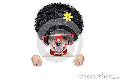 Crazy Sunglasses Df2f Crazy Sunglasses Df2f