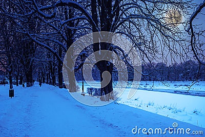 Hoarfrost on a winter night