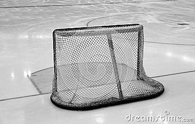 Hockey goals,