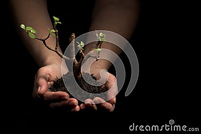 Holding a new plant in hands