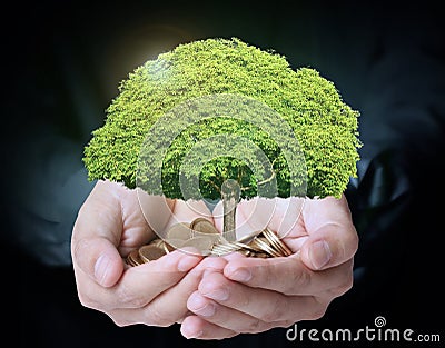 Holding tree sprouting from a handful of coins