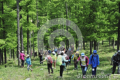 Holiday outdoor cross-country