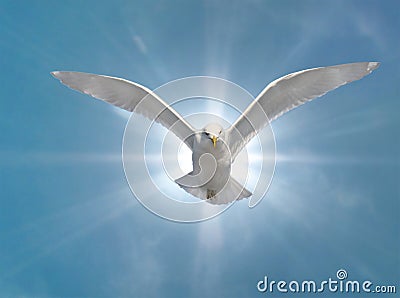 Holy Spirit Royalty Free Stock Photos - Image: 