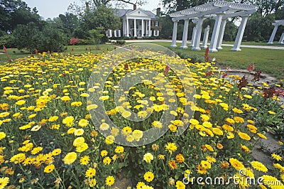 Home and gardens of the Boone Hall Plantation