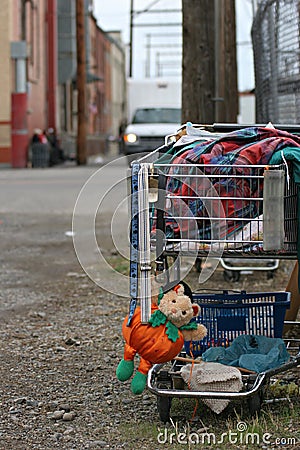 Homeless shopping cart