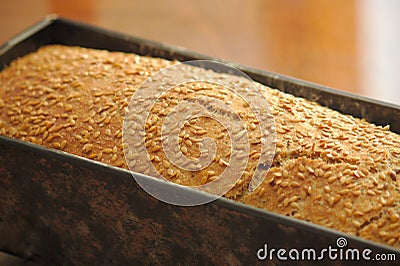 Homemade Bread mold