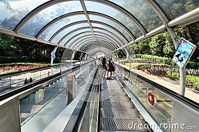 Hong Kong Ocean Park escalator