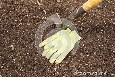 Garden Shovel and Gloves