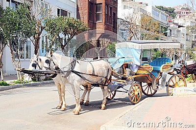 Horse car