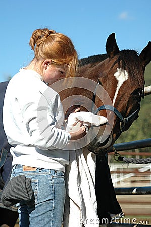Horse care