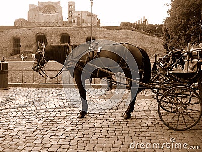 Horse and carriage in Rome