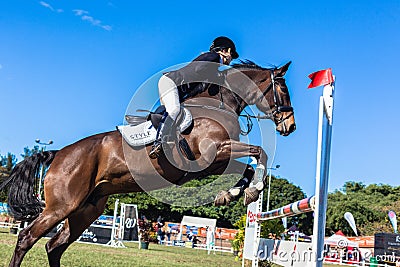 Horse Girl Standing Jumping Gate