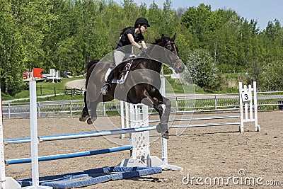 Horse jumping