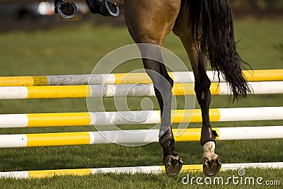 Horse Jumping 001