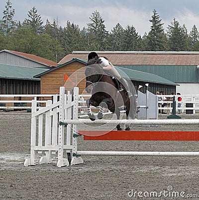 Horse Jumping