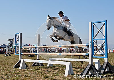 Horse jumping