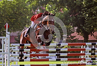 Horse jumping